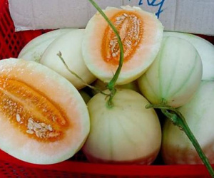 Dưa lê vàng như bí ngô: Đặc sản lạ đích thị hàng Tàu