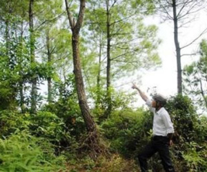 Khai quật thi thể nữ kế toán: Hé lộ từ luật sư