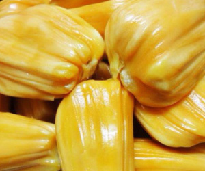 Mít thái tại vườn 5.000 đồng/kg, người tiêu dùng vẫn mua với giá cao gấp 4 lần