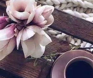 Thứ Năm của bạn (31/5): Thiên Bình hãy tỏ rõ tấm chân tình