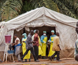 Bộ Y tế họp khẩn, xác định nguy cơ dịch bệnh Ebola vào Việt Nam