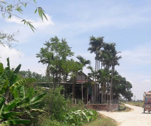 Tang thương vụ cháy vợ chết, chồng nguy kịch ở Hà Tĩnh