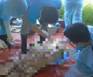 Khai quật thi thể nữ kế toán: Danh sách ngày định mệnh