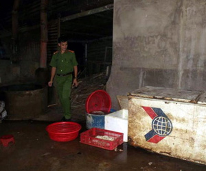 Nội tạng động vật ngâm hóa chất trước khi đưa đi tiêu thụ