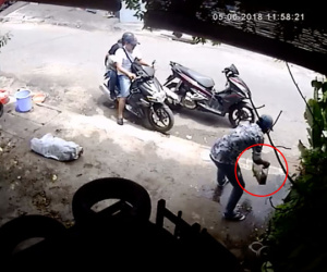 Tiền Giang: 3 thanh niên đi 2 xe tay ga phối hợp ăn trộm bể cá cảnh trị giá hàng chục nghìn đồng ở vỉa hè