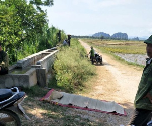 Ảnh minh họa