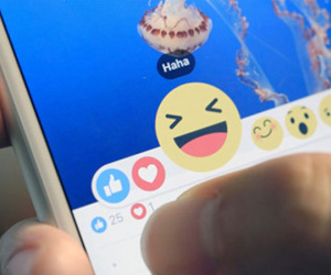 Hàng chục triệu status trên Facebook 'vô tình' bị chuyển sang public