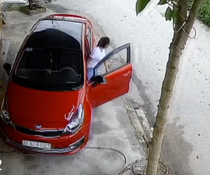 Xuất hiện thêm chị gái cẩn thận nhất MXH, nắn nót 8 phút chỉ để lùi xe từ hiên xuống đường