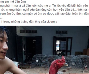 Tâm sự cười chảy nước mắt của cô vợ đòi ly dị vì chồng mê gà chọi: Đang ân ái nhảy bổ xuống kiểm tra chuồng, đem cả gà đi hát karaoke