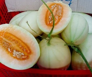 7.200 tấn dưa Trung Quốc tràn chợ: Coi chừng 3 loại dưa Tàu đội lốt hàng Việt