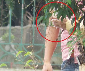 Nghi 'làm luật' trên quốc lộ: Trưởng phòng CSGT Thái Bình nói gì?