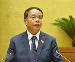 Biểu quyết riêng 2 điều trước khi thông qua Luật An ninh mạng