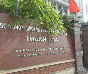 'Chân dài' được bổ nhiệm thần tốc, Chủ tịch Thanh Hóa: Sẽ yêu cầu xử lý theo quy định