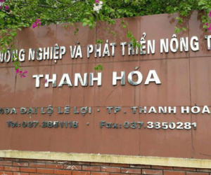 Giám đốc Sở Nội vụ Thanh Hóa nêu lý do chưa thể xử lý 'chân dài' được bổ nhiệm thần tốc