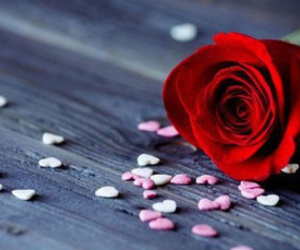 Chủ nhật của bạn (17/6): Bạch Dương hãy bỏ qua nếu có thể