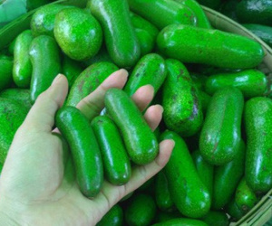 'Siêu phẩm' bơ tí hon không hạt khiến người tiêu dùng trố mắt