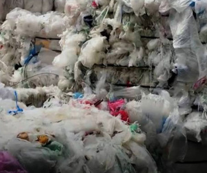 Video: 8.000 container phế liệu tồn đọng ở cảng Cát Lái