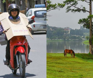 Dự báo thời tiết 21/6: Hà Nội nóng như rang, cao hơn Đà Lạt 13 độ