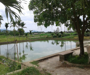 Vụ hai chị em đuối nước ở ao đình: Rất đông người trên bờ nhưng không phát hiện ra