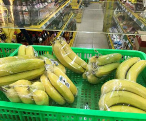 Hành trình trồng chuối của Bầu Đức