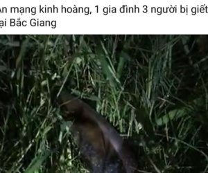 Công an huyện Lục Ngạn truy tìm chủ tài khoản đăng tin án mạng 3 người chết ở Bắc Giang