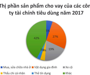 Vay tiền mua sắm, ăn tiêu: Người Việt gánh núi nợ hơn 5 tỷ USD