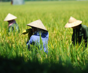 Bao giờ đợt nắng nóng dữ dội ở miền Bắc mới chấm dứt?