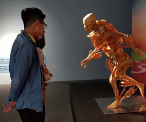 Bộ Văn hóa yêu cầu báo cáo về triển lãm cơ thể người