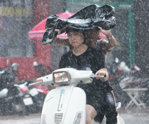 Người Hà Nội sung sướng đi dưới 'mưa vàng' sau những ngày nắng cháy da