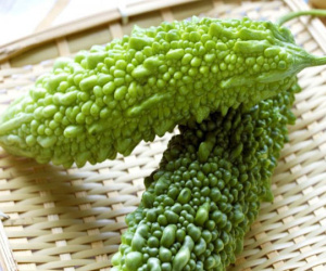 Mướp đắng - Biện pháp kiểm soát lượng đường huyết trong máu hiệu quả