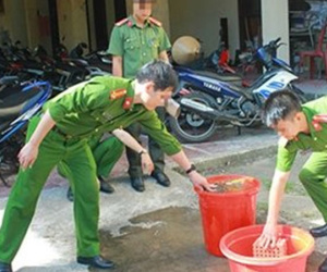 Lấy gạch tiêu hủy pháo: 3 cán bộ thi hành án, 1 cảnh sát bị thương