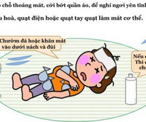 Cách sơ cứu say nắng, say nóng