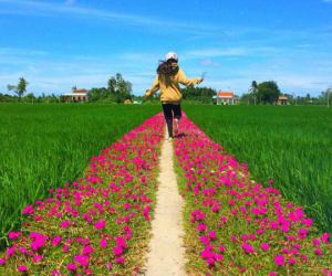 Con đường hoa mười giờ giữa 2 thửa ruộng đẹp như tranh khiến dân mạng ở Tiền Giang muốn đến check-in bằng được