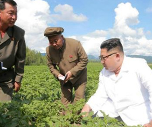Kim Jong-un có thể ở trang trại khoai khi Ngoại trưởng Mỹ đến thăm
