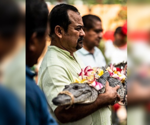 Kỳ quặc đám cưới của Thị trưởng Mexico và cá sấu