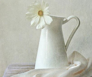 Thứ Bảy của bạn (14/7): Cự Giải hãy chủ động trong mọi việc