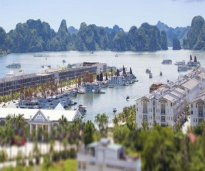 Đại gia Hà Thành bỏ 60 tỷ mua biệt thự biển Hạ Long