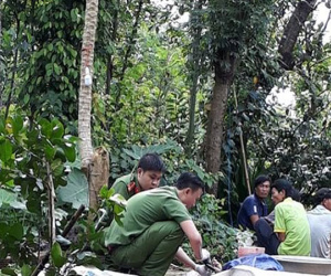 Đòi lại sính lễ cưới không được, thanh niên chém mẹ vợ đến chết
