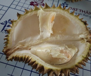 Sầu riêng siêu rẻ 19.000 đồng/kg có ngon như lời đồn?