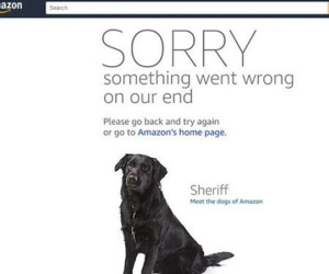Website của Amazon bị sập do đợt sale quá khủng