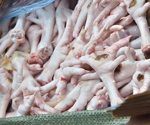 Giám sát chặt lô chân gà Ba Lan nghi nhiễm khuẩn vào Việt Nam