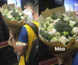Tặng hoa nhập khẩu xưa rồi, mốt bây giờ là súp lơ bó tỏi trông sang chảnh chất chơi thế này đây!
