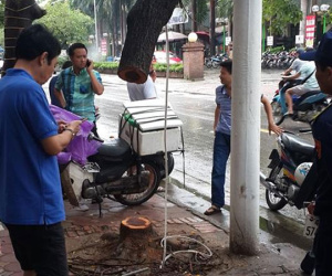 Cây sưa đỏ hơn 20 năm tuổi bị cưa trộm giữa đêm mưa bão