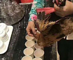 Công ty Trung Quốc bị tố bắt nhân viên uống máu gà để mừng công