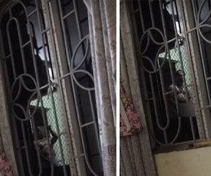 Tái mặt khi gặp hàng xóm biến thái, vừa 'tự sướng' vừa vẫy tay khiêu khích