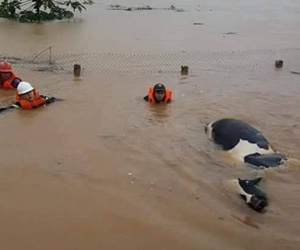 Sơn La: 6 người chết và mất tích, hàng trăm nhà dân bị tàn phá do mưa lũ