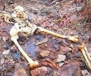 Giết người tình, chôn xác phi tang khi phát hiện có thai