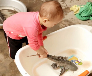 'Cháu nó còn nhỏ, biết gì đâu': Câu nói dậy sóng mạng xã hội Việt, ai cũng muốn góp ý kiến