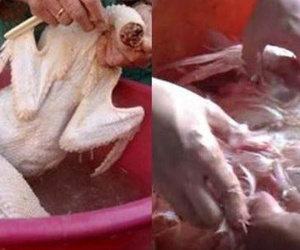 Chứng kiến con gái trổ tài mổ ngan, mẹ vẫn thắc mắc: 'Không hiểu tại sao chồng mày nó lại dám lấy mày'