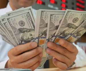 Tỷ giá USD/VND tăng vọt: Chỉ là phản ứng tâm lý tức thời?